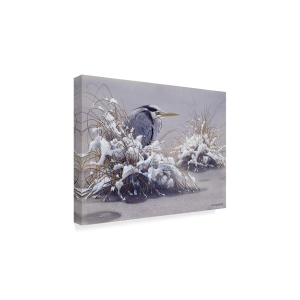 Harro Maass 'Grey Heron' Canvas Art,24x32